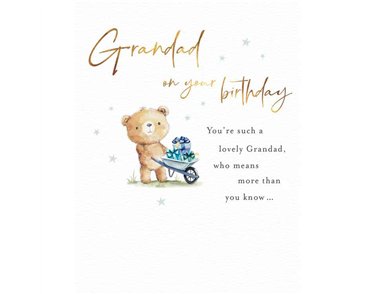 C50 GRANDAD BIRTHDAY FUZZY FRIENDS PICCADILLY GREETINGS 6S