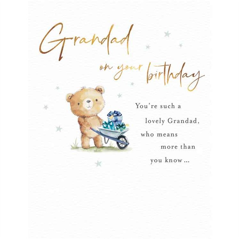C50 GRANDAD BIRTHDAY FUZZY FRIENDS PICCADILLY GREETINGS 6S
