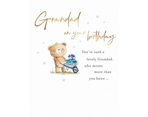 C50 GRANDAD BIRTHDAY FUZZY FRIENDS PICCADILLY GREETINGS 6S