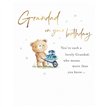 C50 GRANDAD BIRTHDAY FUZZY FRIENDS PICCADILLY GREETINGS 6S