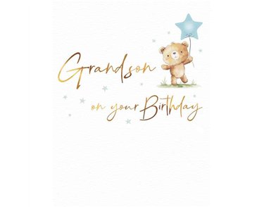 C50 GRANDSON BIRTHDAY FUZZY FRIENDS PICCADILLY GREETINGS 6S