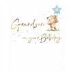 C50 GRANDSON BIRTHDAY FUZZY FRIENDS PICCADILLY GREETINGS 6S