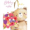 C50 NAN BIRTHDAY FUZZY FRIENDS PICCADILLY GREETINGS 6S