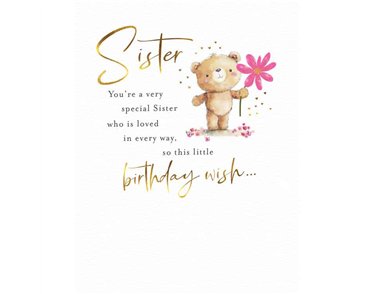 C50 SISTER BIRTHDAY FUZZY FRIENDS PICCADILLY GREETINGS 6S