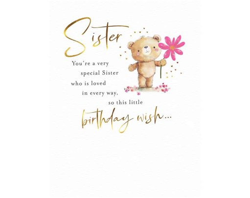 C50 SISTER BIRTHDAY FUZZY FRIENDS PICCADILLY GREETINGS 6S