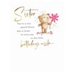 C50 SISTER BIRTHDAY FUZZY FRIENDS PICCADILLY GREETINGS 6S