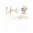 C50 UNCLE BIRTHDAY FUZZY FRIENDS PICCADILLY GREETINGS 6S