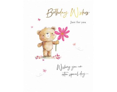 C50 FEMALE OPEN BIRTHDAY FUZZY FRIENDS PICCADILLY GREETINGS 6S