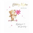 C50 FEMALE OPEN BIRTHDAY FUZZY FRIENDS PICCADILLY GREETINGS 6S