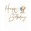 C50 TYPE BEAR MALE BIRTHDAY FUZZY FRIENDS PICCADILLY GREETINGS 6S