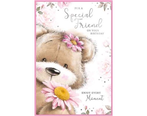 C75 CUTE FEMALE SPECIAL FRIEND SIMON ELVIN 6S