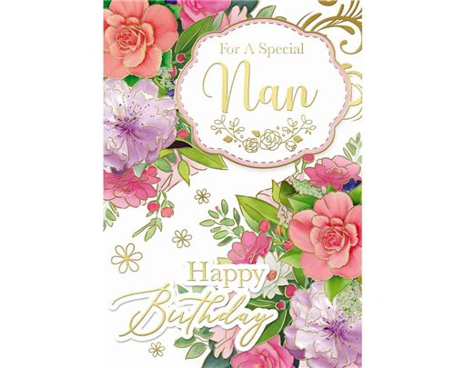 C50 TRAD NAN SILVERLINE 12S
