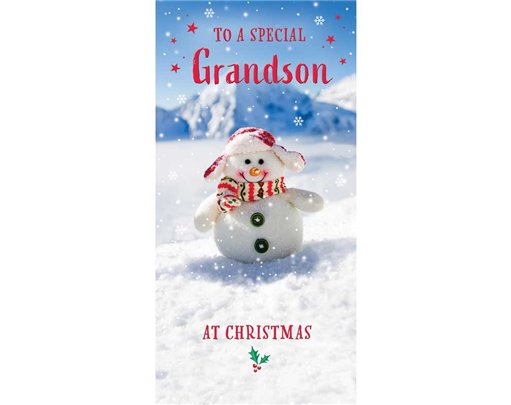 CHRISTMAS SPIRIT GRANDSON MONEY WALLET 10S