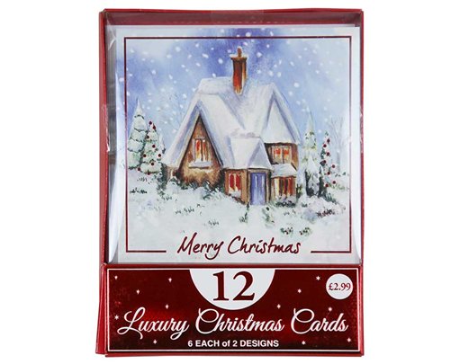 12PK WINTER HOME ACETATE BOXED CARDS 24S