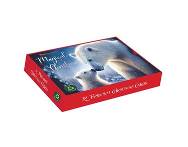 12PK ARTIC BEARS LANDSCAPE PREMIUM BOXED CARDS