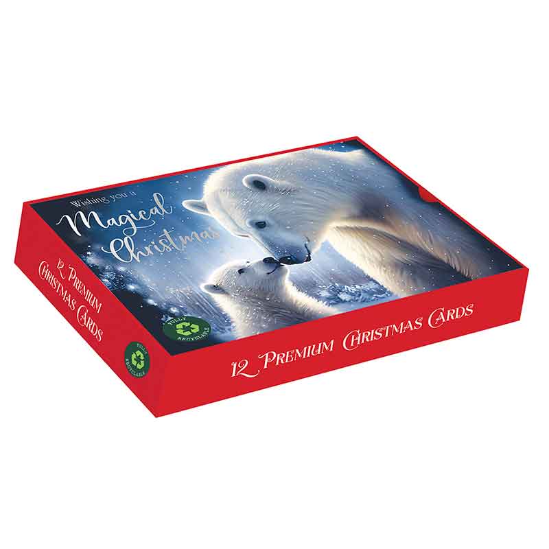 12PK ARTIC BEARS LANDSCAPE PREMIUM BOXED CARDS