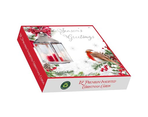 12PK WINTER ROBIN SQUARE PREMIUM BOXED CARDS