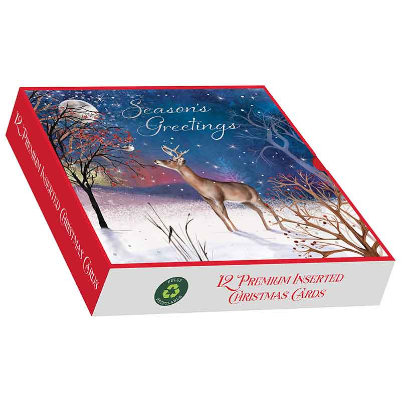 12PK A WINTER'S NIGHT SQUARE PREMIUM BOXED CARDS