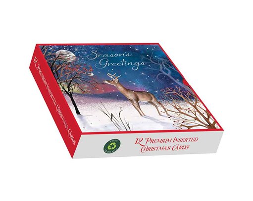 12PK A WINTER'S NIGHT SQUARE PREMIUM BOXED CARDS