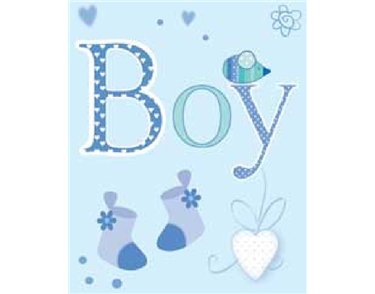 BABY BOY ELVIN GIFT TAG  12S