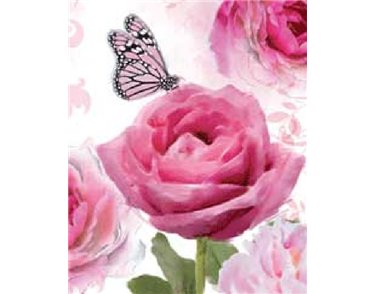 TRAD FEMALE ELVIN GIFT TAG  12S