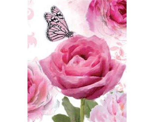TRAD FEMALE ELVIN GIFT TAG  12S