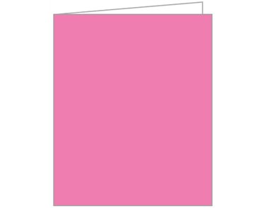 PINK ACQUIRE TAGS 12S