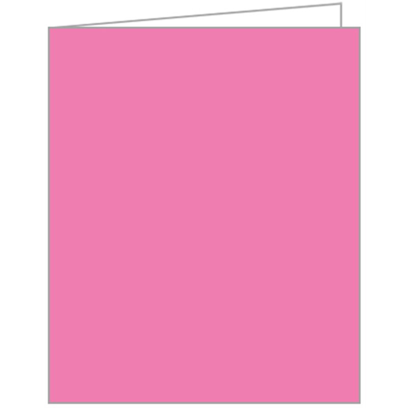 PINK ACQUIRE TAGS 12S