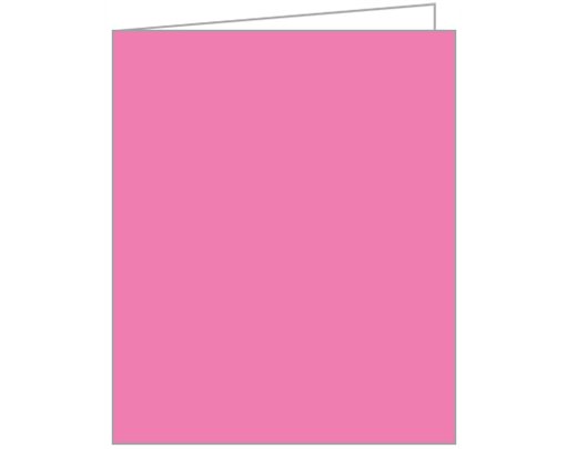 PINK ACQUIRE TAGS 12S