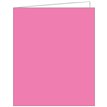 PINK ACQUIRE TAGS 12S
