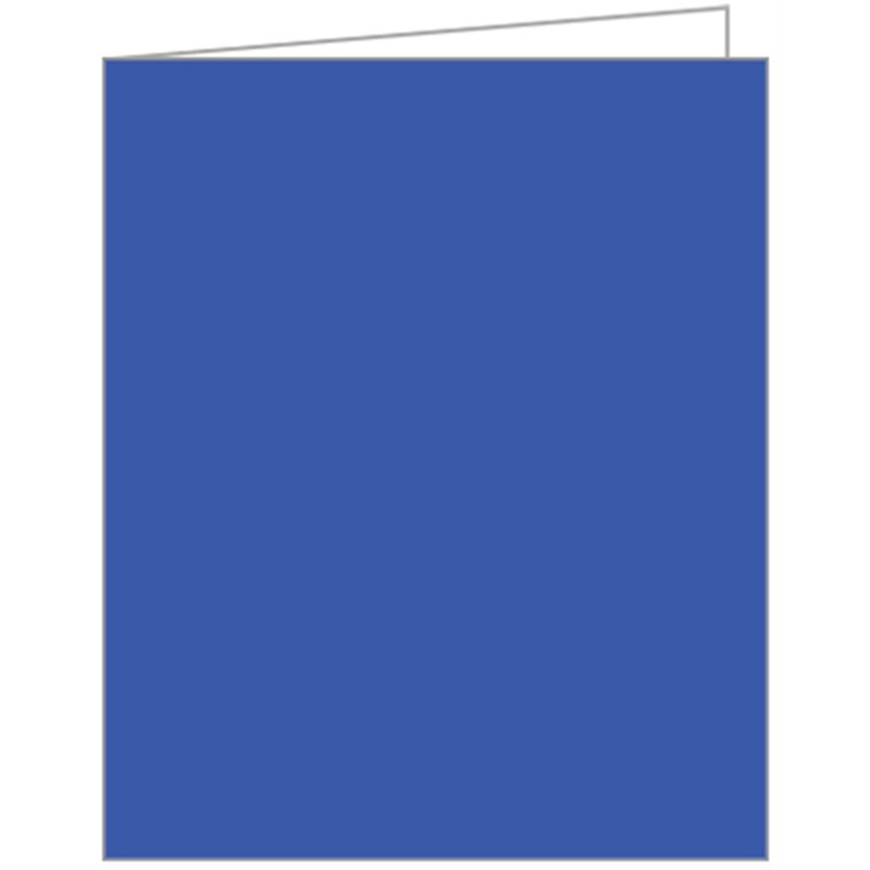 BLUE ACQUIRE TAGS 12S