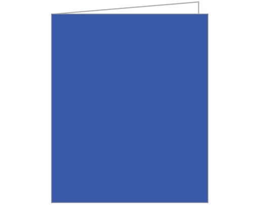 BLUE ACQUIRE TAGS 12S