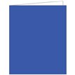BLUE ACQUIRE TAGS 12S