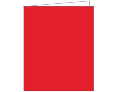 RED AQUIRE TAGS 12S