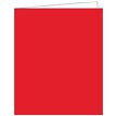 RED AQUIRE TAGS 12S