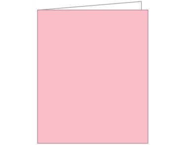 LIGHT PINK ACQUIRE TAGS 12S