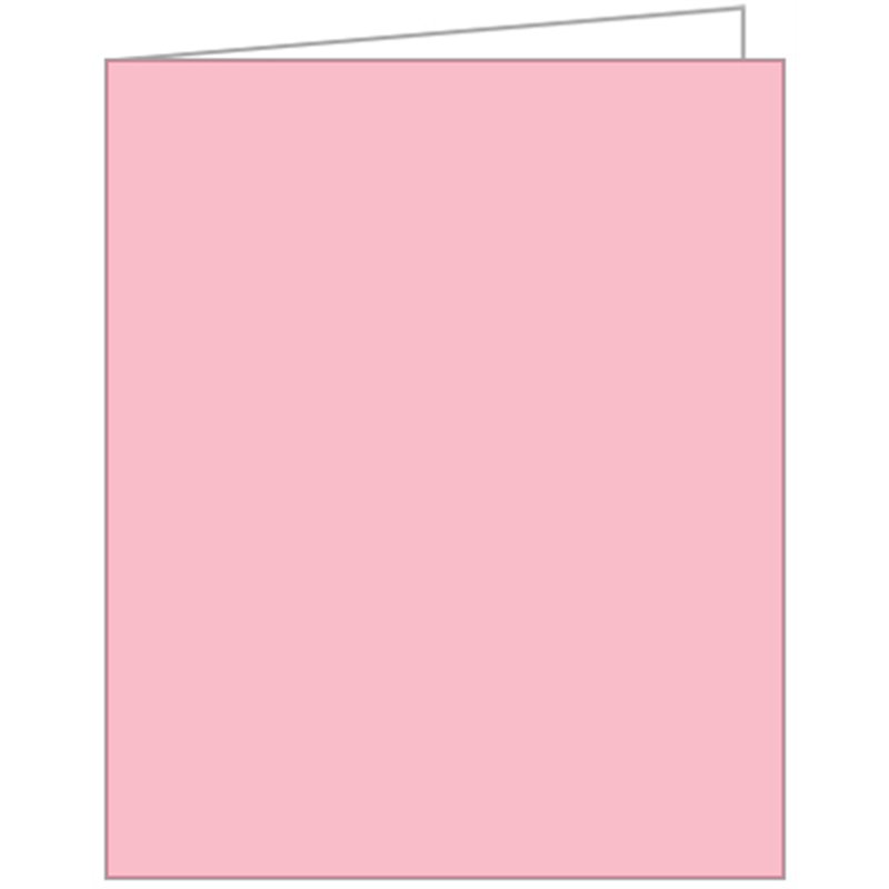 LIGHT PINK ACQUIRE TAGS 12S