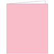 LIGHT PINK ACQUIRE TAGS 12S