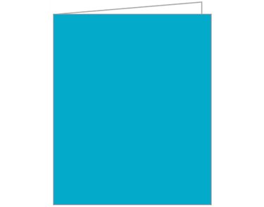 TURQUOISE ACQUIRE TAGS 12S