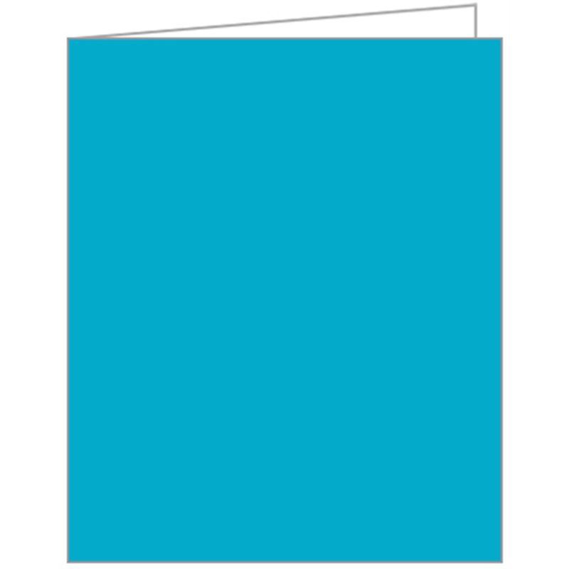 TURQUOISE ACQUIRE TAGS 12S