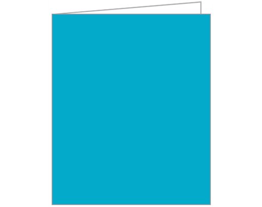 TURQUOISE ACQUIRE TAGS 12S