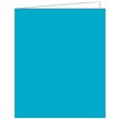 TURQUOISE ACQUIRE TAGS 12S