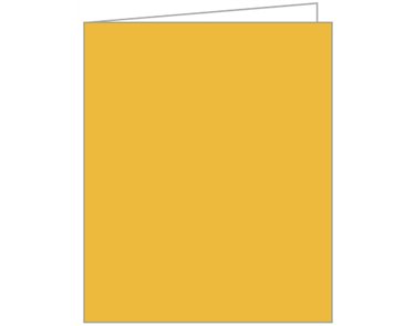 YELLOW ACQUIRE TAGS 12S