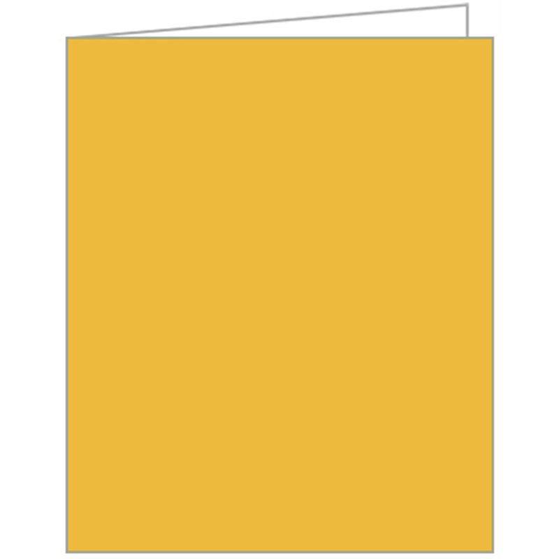 YELLOW ACQUIRE TAGS 12S