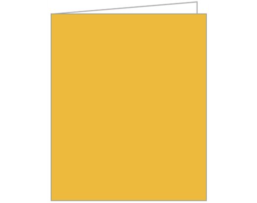 YELLOW ACQUIRE TAGS 12S