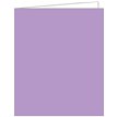LILAC ACQUIRE TAGS 12S