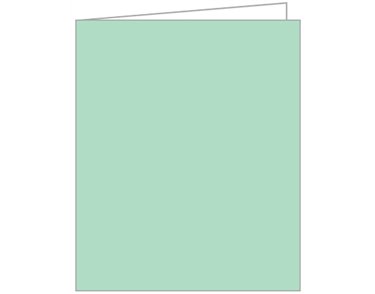 LIGHT GREEN ACQUIRE TAGS 12S