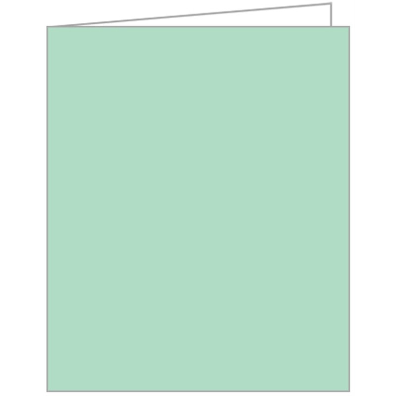 LIGHT GREEN ACQUIRE TAGS 12S