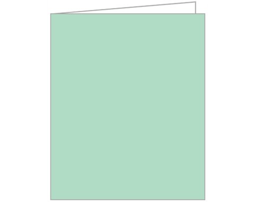 LIGHT GREEN ACQUIRE TAGS 12S