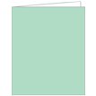 LIGHT GREEN ACQUIRE TAGS 12S